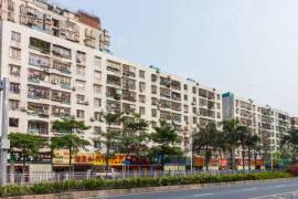 深圳宝城花园 坪洲地铁口物业，生活设施完善，交通方便